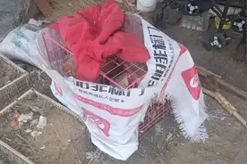 杭州道街道：杜绝小区养家禽 整改行动“不过夜”图片