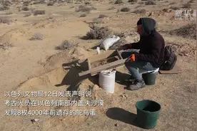 以色列发现4000年前鸵鸟蛋图片