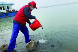 增殖放流，万尾鱼苗“安家”长江图片