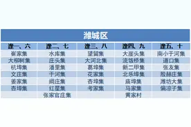 赶大集 寻年味！潍坊各区县大集总览图片