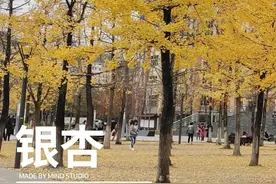 50种·最常见的药用价值植物，收藏！图片