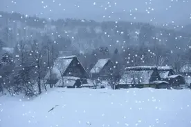 壹点日历1.15|瑞雪兆丰年！所求都如愿，所愿都实现。早安图片
