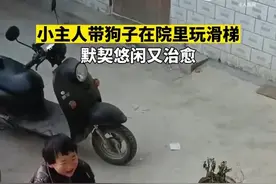 治愈！萌娃带狗狗台阶上玩滑梯默契十足图片