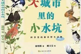 女孩用两年时间拍摄南京主城区一处“小水坑”，揭秘一个生机盎然的世界图片