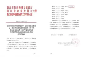 全省优秀！嘉善擦亮“美丽城镇”金名片图片