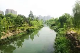 “杂树林”变身网红打卡地，家门口新增一处沿河草坪迷宫图片