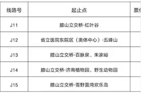 畅游雪野湖、红叶谷、植物园……济南公交将开通5条景区专线图片
