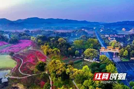 1月20日，常德桃花源景区恢复营业！图片