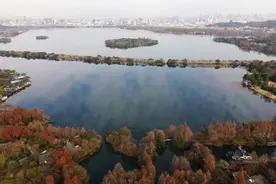 春节假期游西湖景区，17个景点免票但要预约，停车价格有浮动图片