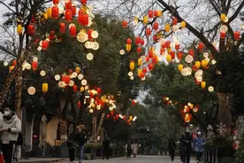 出圈的兔子船这里也有，18艘“玉兔呈祥福气船”集体亮相，西溪湿地新春探梅节来了图片