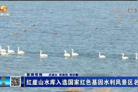 【短视频】红崖山水库入选国家红色基因水利风景区名录图片