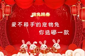 瑞兔跳春｜爱不释手的宠物兔，你选哪一款图片