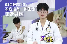 给鸽子截肢，帮兔子节育，95后异宠医生的奇遇记图片