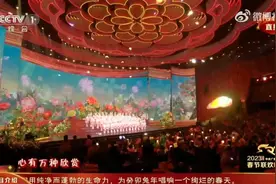 这届春晚算是把谐音梗玩6了图片