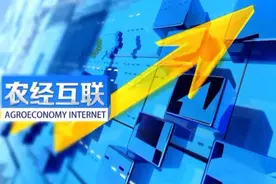乡村财经 | 我国“白色农业”快速发展图片