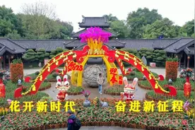 人从众！青秀山风景区人气旺，大家熟悉的年味又回来了！图片