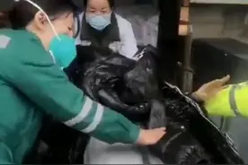 30秒｜孕妇羊水破裂即将临产 警车开道紧急护送就医图片