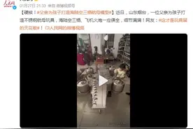 硬核！父亲为孩子打造海陆空三栖航母模型图片