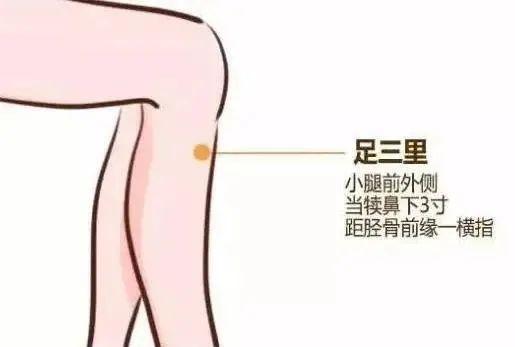 孕妇能吃百合吗 2026年孕妇能吃百合吗有什么功效