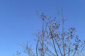 逍遥就是心灵的自由图片