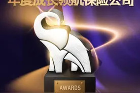 中荷人寿荣获“年度成长领航保险公司”奖项图片