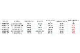 基金放大镜|新能源天团哪家强？姚志鹏、郑泽鸿、刘格菘等6位百亿基金经理坚守这些股图片