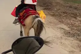 太拉风！9岁男孩背礼品策马奔跑走亲戚图片