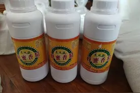 白糖加香精制造“土蜂蜜” 四川攀枝花查获一个蜂蜜造假窝点图片
