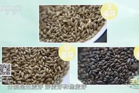 春节后消化不良？健脾消食试试它图片