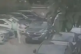 助人为乐却痛失爱犬，谁来为宠物之死“买单”？图片