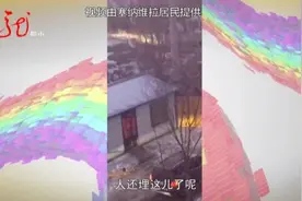 死者是谁？哈尔滨这一小区附近，竟然出现坟墓、花圈！图片