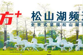 精密模具资源匮乏？松山湖“周二有约”走进数字化工厂图片