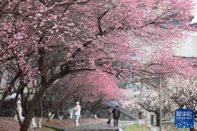 神州大地春来早图片