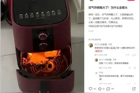 空气炸锅起火！这个细节，消防提醒你注意……图片