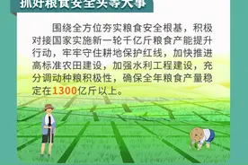 一图读懂丨2023年河南“三农”工作线路图来了图片