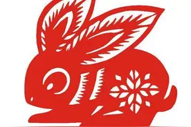 传统文化|十二生肖之卯兔图片