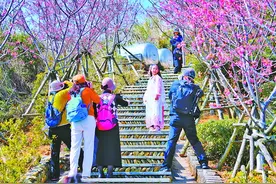 春季限定！醉美汉服樱花季月底在白交祠村举办图片