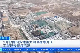 央视财经挖掘机指数丨重磅榜单出炉！陕西省实现“开门红”，拿下7个全国第一→图片