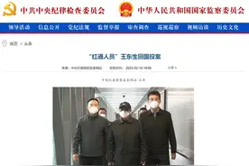 6名“红通人员”回国投案背后的故事图片
