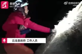 痛心！云南失联12岁双胞胎兄弟已不幸身亡，官方深夜通报——图片