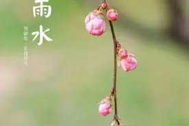 雨水|雨润万物，心清气朗图片