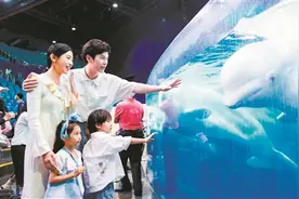 海洋王国里一场特殊的“邂逅”图片
