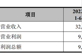 希诺股份：拟冲刺上交所IPO上市，预计投入募资7亿元，担忧毛利率波动风险图片
