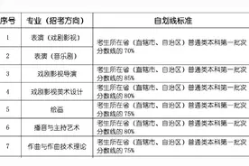 上戏表演系考生须达一本线系误读，艺术生的文化课重要么？图片