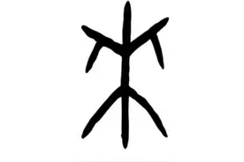 一字悬赏值十万！这些甲骨文你都认识吗？图片