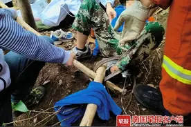 钦州一男孩采草药踩中捕兽夹，被困深山中……图片