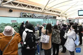 日本粉丝惜别大熊猫“永明”“樱浜”和“桃浜”图片