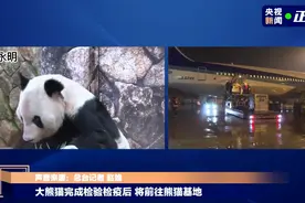 《爱在西元前》要过期了？/ ChatGPT写科幻，被拒图片