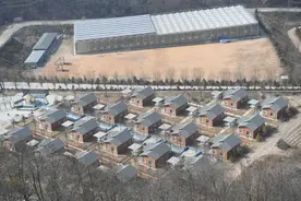 看振兴 陕西行丨延安“黄土沟”里的小山村 苹果远销“北上广”图片