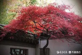 等待-一直等图片